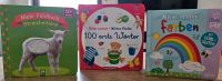 11 Kinder lern Bücher Rheinland-Pfalz - Roth b Hamm Vorschau