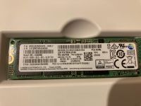 Samsung 256 GB M.2 PCIe NVME Rheinland-Pfalz - Neustadt an der Weinstraße Vorschau