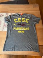 Shirt Puma Herren Gr 44/46 (S) Hessen - Philippsthal (Werra) Vorschau