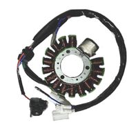 Lichtmaschine Stator DT125 RE / X DE06, TDR125, TZR125 Derbi GPR Baden-Württemberg - Waiblingen Vorschau