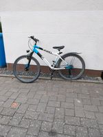 Zero Fahrrad Rheinland-Pfalz - Neuwied Vorschau