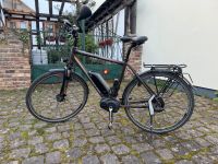 S-Pedelec Trekking Bike Nordrhein-Westfalen - Rheinbach Vorschau