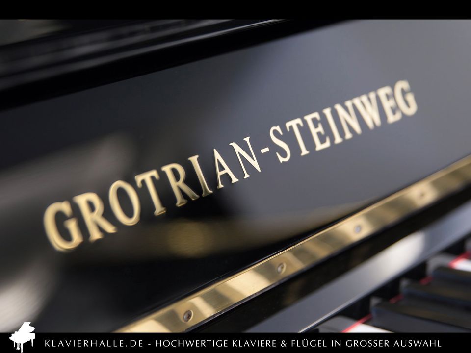 Große Auswahl Premium Klaviere & Flügel ★ Steinway, Bösendorfer.. in Altenberge