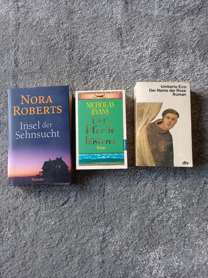 Taschenbücher/ Buch , Romane in Winseldorf