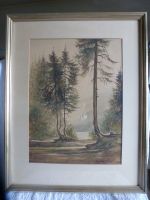 Aquarell Georg Bingel Tannen im Harz 1958 mit Rahmen Hannover - Mitte Vorschau