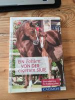 Ein Fohlen von der eigenen Stute Karin Kattwinkel Bayern - Ansbach Vorschau