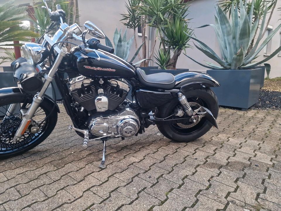 Harley Davidson Sportster 1200 Breitreifen Custombike in Waldenburg