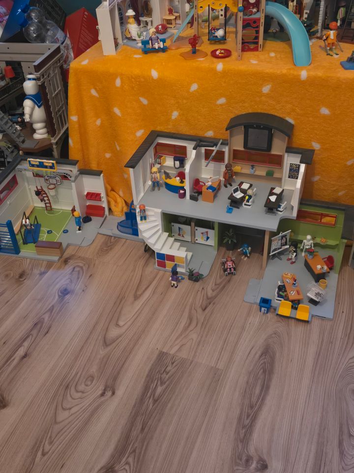 Playmobil-Sammlung in Wendeburg