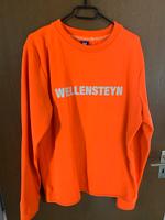 Wellensteyn Pullover, Herren / Gr. M Bayern - Vöhringen Vorschau