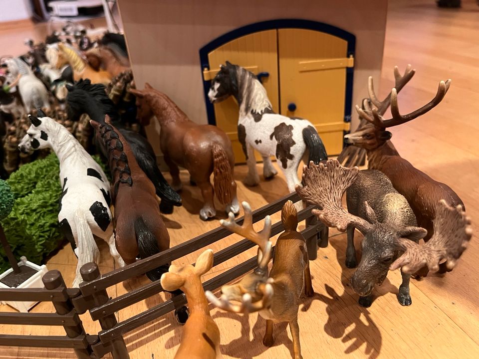 Großer Schleich Reiterhof in Stolberg (Rhld)