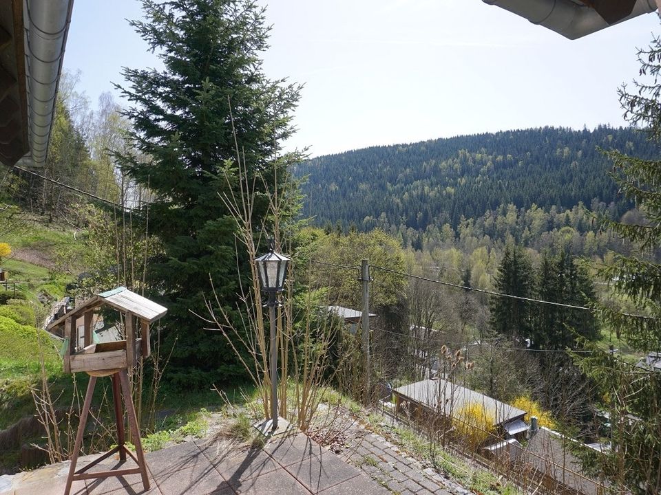 Idyllisches Wohnparadies mit traumhaftem Ausblick! in Klingenthal