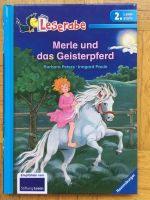 Leserabe 2. Lesestufe: Merle und das Geisterpferd Bayern - Elchingen Vorschau