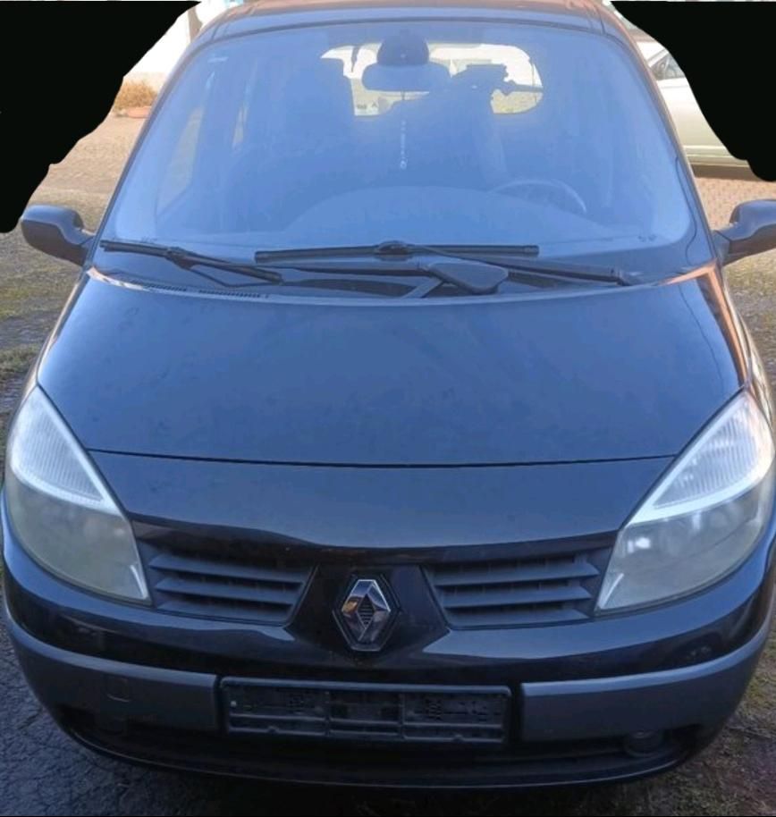 Renault Scenic Motorhaube in Lübeck