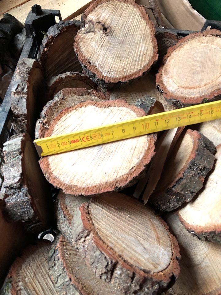 Baumscheiben, Holzscheiben Eiche Jules 10cm-11cm, 13cm in Hamburg