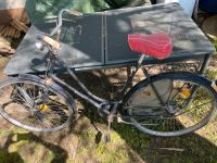 Hollandrad,Empo,Retrobike,Retro,Fixi,Hollandrad,Oldschool Bayern - Waltenhofen Vorschau