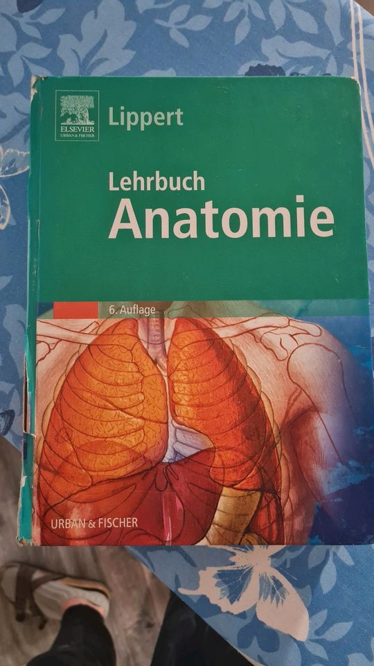 Anatomie Bücher,  Medizin Studium,  Mensch in Northeim