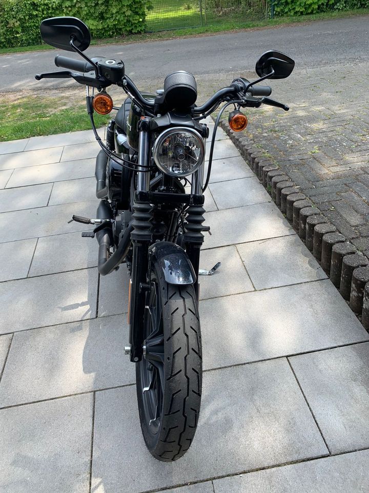 Harley-Davidson Sportster Iron XL 883 N in Neunkirchen-Seelscheid