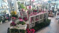 Floristin / Florist gesucht Duisburg - Duisburg-Mitte Vorschau