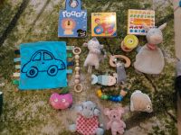 Baby Spielzeug 0,50€ Nordrhein-Westfalen - Dülmen Vorschau