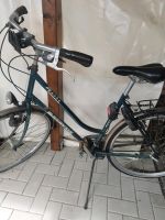 Damenrad Fahrrad Niedersachsen - Bad Bentheim Vorschau