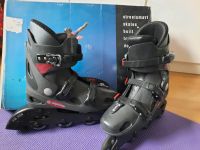 Inline Skates Alpina  40,5 Damen Niedersachsen - Barnstorf Vorschau