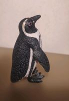 Schleich Pinguin Figur Sammeln Spielzeug Dresden - Löbtau-Nord Vorschau