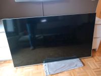 Philips 65" Zoll LED Fernseher TV Dolby HDMI Flatscreen 1 Jahralt Niedersachsen - Bückeburg Vorschau