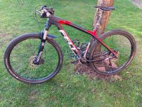 MTB Hardtail 29" Felt Nine3 Carbon Gr. MD Rheinland-Pfalz - Winden Vorschau