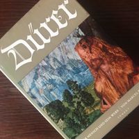 "Dürer - Der Mensch und sein Werk" von Marcel Brion Niedersachsen - Peine Vorschau