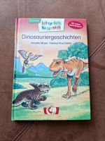 Kinderbuch mit Dinosauriergeschichten Bayern - Altenmarkt Vorschau