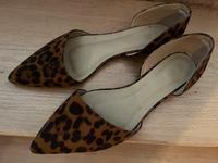 RAID * BALLERINA * LEO * 42 * Braun Schwarz Gold * Hessen - Kassel Vorschau