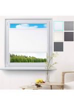 2x Fenster Plissee weiß 60x100 Fa. Woltu Sachsen - Cunewalde Vorschau