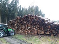 Brennholz Fichte 2m, 36 Euro pro rm Sachsen - Schöneck Vorschau