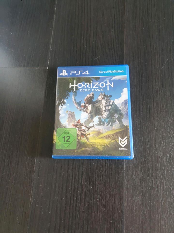 Horizon zero Dawn in Aachen