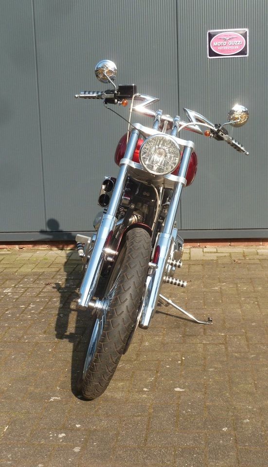 Harley Davidson Softail in Bokel