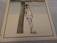 Steve Winwood Vinyl-LP" STEVE WINWOOD" Zustand VG/EX Niedersachsen - Georgsmarienhütte Vorschau