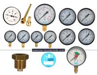 Manometer Druckmesser Thermometer Heizung Kessel Tauchhülse Nordrhein-Westfalen - Preußisch Oldendorf Vorschau