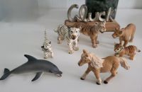 Schleich Tiere Nordrhein-Westfalen - Hilchenbach Vorschau