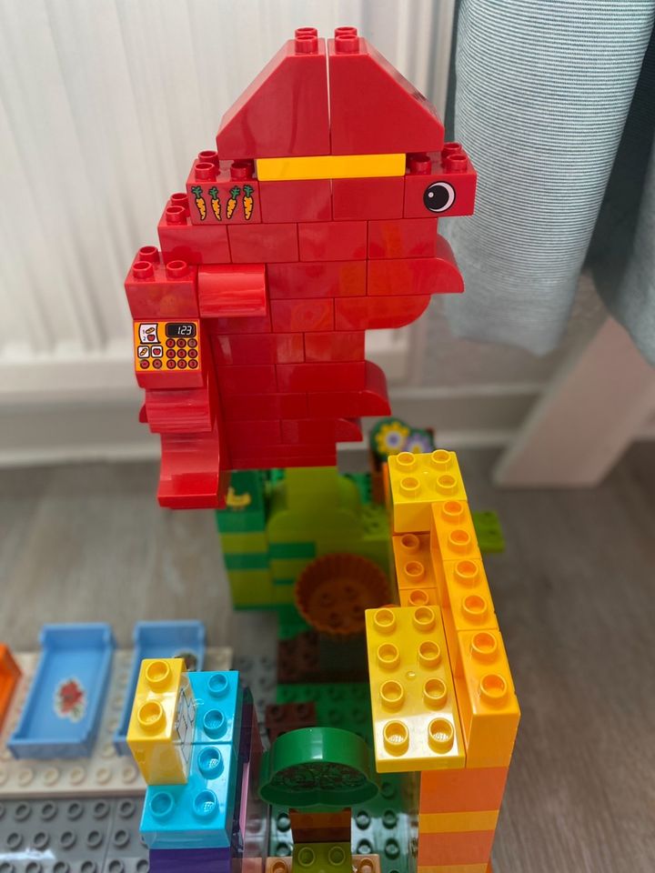 Lego Duplo Sammlung in Erkrath