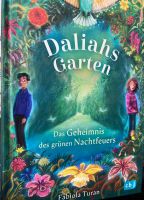 Daliahs Garten.Das Geheimnis des grünen Nachtfeuers Baden-Württemberg - Ammerbuch Vorschau