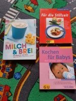 Milch und Brei, Kochen für Babys, Für die Stillzeit Aschaffenburg - Dammbach Vorschau