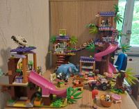 LEGO Friends Tier- und Pandarettungsstation Hessen - Bad Homburg Vorschau