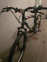 Fahrrad Herren 26 zoll Thüringen - Bad Salzungen Vorschau