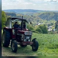 IHC 844 Traktor Rheinland-Pfalz - Hilscheid Vorschau