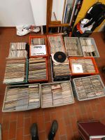 Schallplatten 5500 Stück Sammlung Schallplattensammlung LPs Brandenburg - Brieselang Vorschau