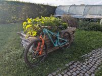 MTB individueller Aufbau, Custom Build, Mountainbike Bayern - Staudach-Egerndach Vorschau