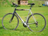 Speedbike Rennrad Fahrrad Gravelbike - Ghost Race Carbon 28" Sachsen - Torgau Vorschau