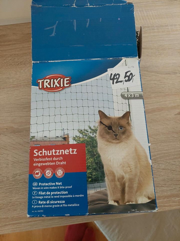 Katzennetz in Marne