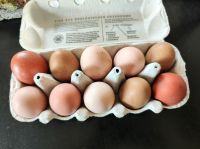 Frische Eier Hühnerei aus Freilandhaltung Thüringen - Drei Gleichen Vorschau