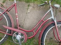 2x Diamant Fahrrad 1960er Jahre Herren und Damenrad Brandenburg - Golßen Vorschau